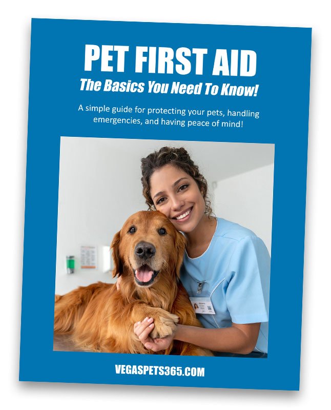 Pet First Aid Guide